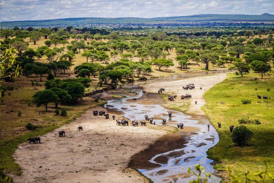 Tanzania: Big 5 Tour - Day Two: Ngorongoro and the Big 5 Search