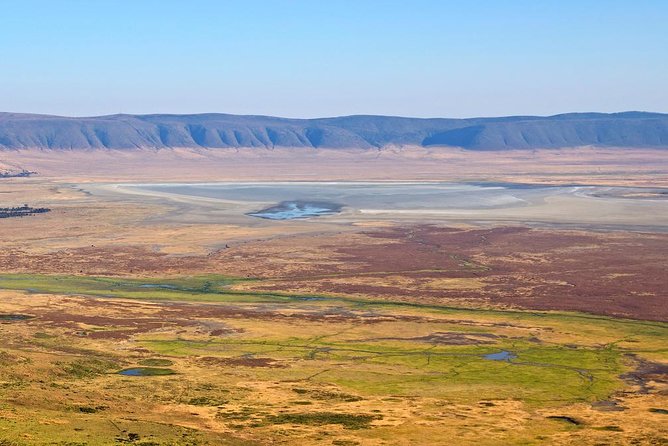 Tanzania Classic - 7 Days - Two days in the Serengeti