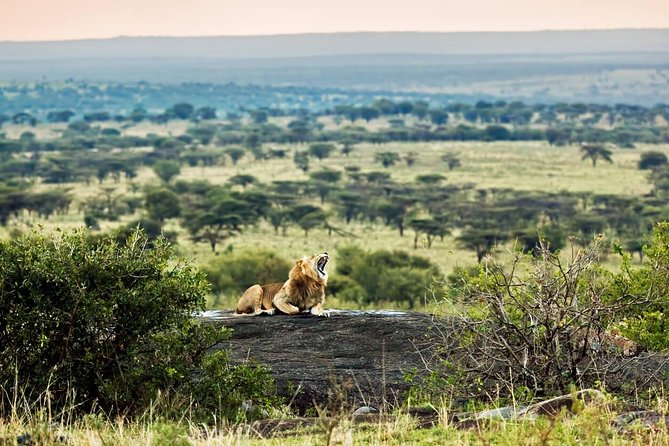 Tanzania Classic - 7 Days - The guide and service experience