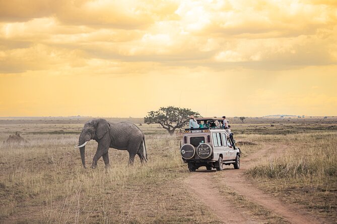 Tanzania Classic - 7 Days - Lake Manyara: a gentle first safari