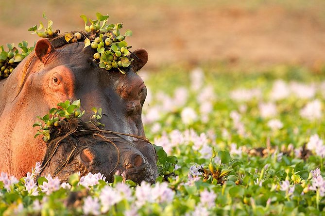 Tanzania Enticing Explorations - 6 Days - Day 5: Ngorongoro Crater at 6 a.m.