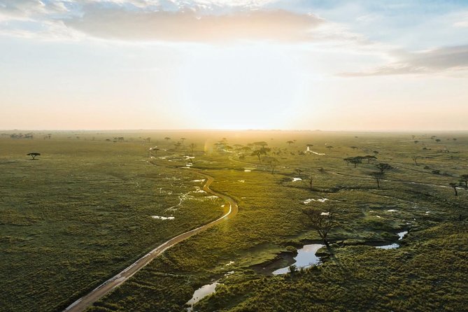 Tanzania Enticing Explorations - 6 Days - Day 6: Tarangire’s elephants and baobabs