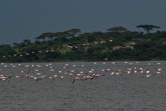 Tanzania Luxury Safari - The Long Road to the Serengeti