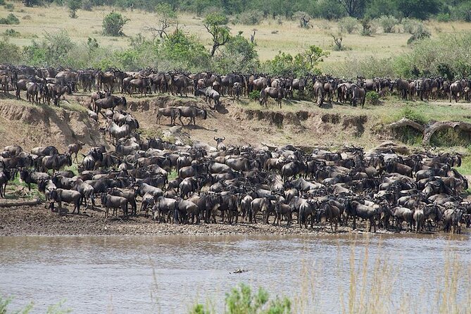 Tanzania Safari - The Great Migration in the North of the Serengeti and Lake Natron - Why this eight-day route works