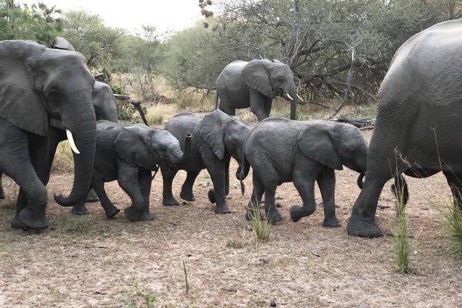 Tanzania safari with guide in Italian, the great Migration of the Serengeti - Day 5: The Mara River and the migration