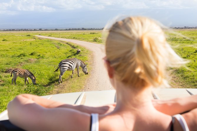 Tanzania Simba Safari - 5 Days - Meals, drinks, and the real cost