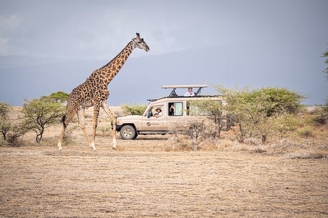 Tanzania Simba Safari - 5 Days - Day 2: The long road from Arusha to Serengeti