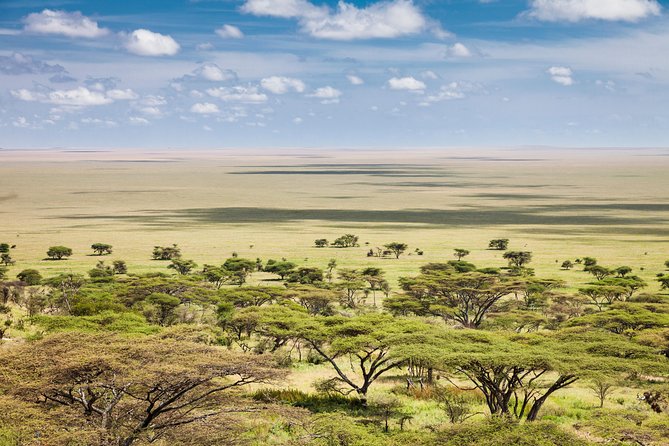 Tanzania Through The Rift Valley - 5 Days - Day 2: Lake Manyara’s compact wildlife country