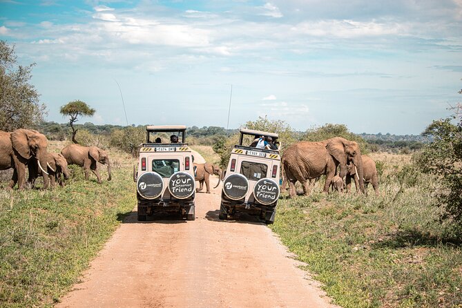 Tanzania Through The Rift Valley - 5 Days - Day 5: Ngorongoro Crater before the flight home