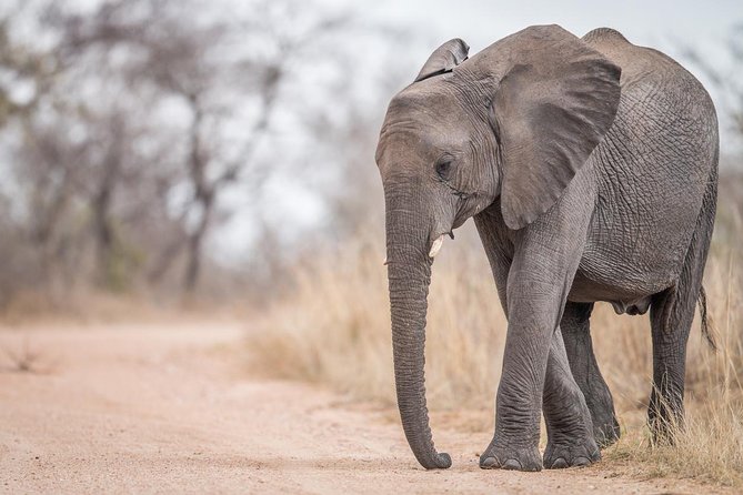 Tanzania Through The Rift Valley - 5 Days - Day 1: A gentle arrival in Arusha