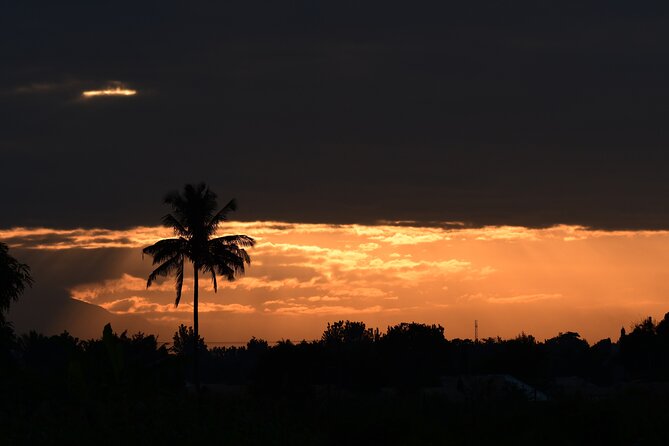 Tanzania Wildlife Cultural Safari from Arusha. - Key points to know before booking