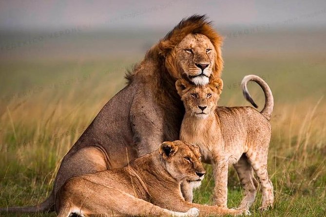 Tanzania Wildlife Encounters - 6 Days - Day 2: Lake Manyara’s compact wildlife country