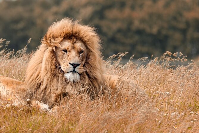 Tanzania Wildlife Encounters - 6 Days - Day 3: From Manyara to the endless Serengeti