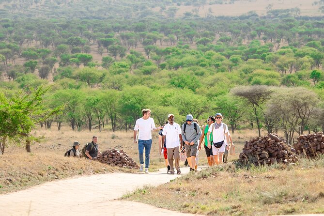 Tanzania Wildlife Encounters - 6 Days - The private Toyota 4x4 and daily comfort