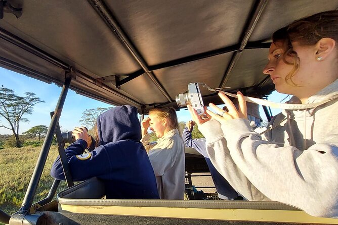 Tanzania Wildlife Safari Budget Camping - Day 5: Ngorongoro Crater’s concentrated wildlife