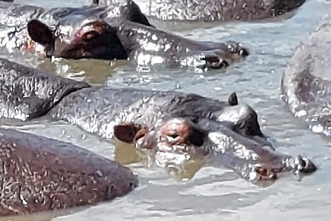 Tanzania Wildlife Safari Budget Camping - Camping comfort and daily pace