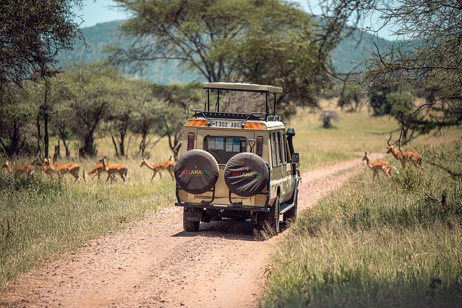 Tarangire National Park and Maasai Village Safari Tour - Practical details that affect the day