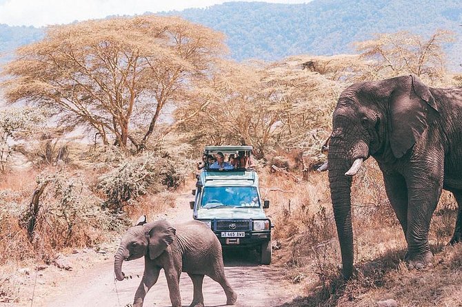 tarangire & ngorongoro 2 days tour - Why these two parks work well together