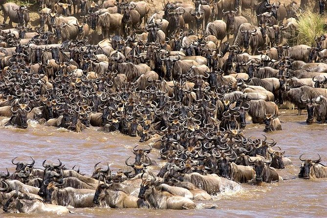 Tarangire -Serengeti & Ngorongoro Crater Budget camping safari - Day two: Olduvai Gorge and the Serengeti plains