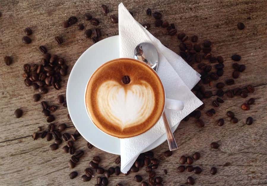 Tea House, Zanzibar Coffee House, Spice Tour with Lunch - Who will enjoy this tour most