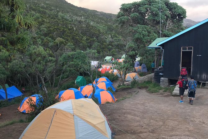 The 6 Days Kilimanjaro Climbing Tour via Machame Route in 2025/26 - Day three: Lava Tower, the Shark’s Tooth, and Barranco