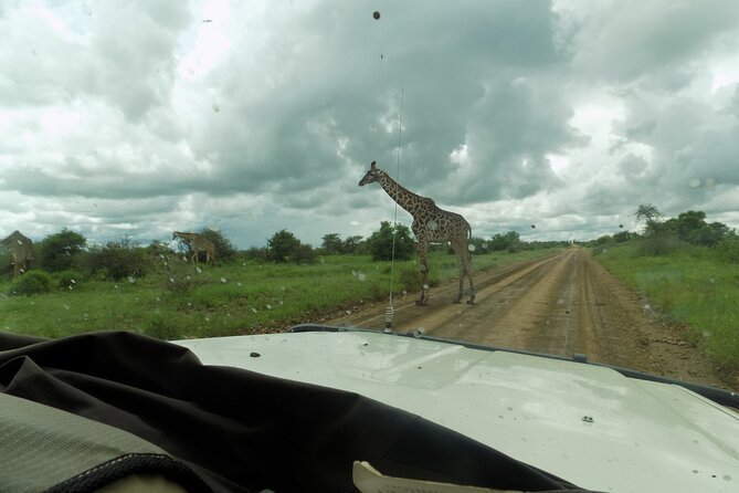 The Amaizing Private Day Trip to the lovely Arusha National Park - Why Arusha National Park works so well as a day trip