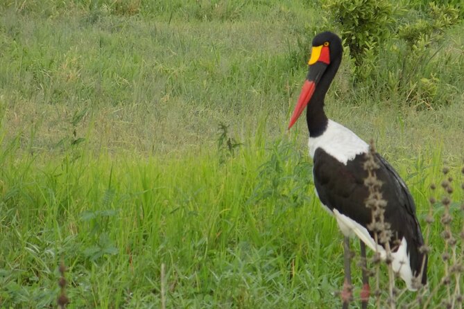 The Amaizing Private Day Trip to the lovely Arusha National Park - Forest views and the chance to see Mount Meru