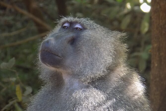 The Amaizing Private Day Trip to the lovely Arusha National Park - Is $450 per person a fair price?