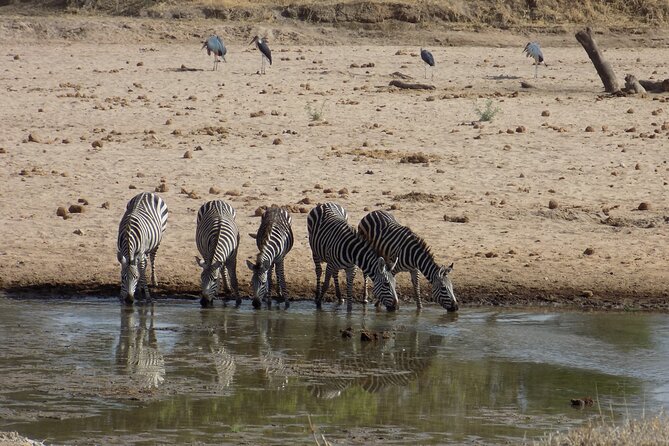 The Amaizing Private Day Trip to the lovely Arusha National Park - Food, transport, and the eight-hour schedule