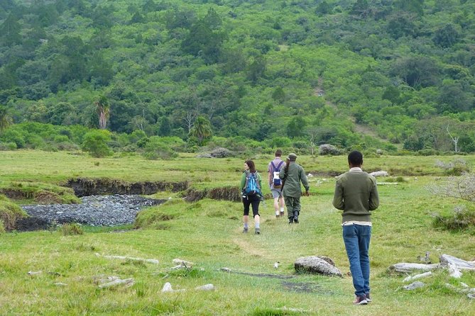 The Amaizing Private Day Trip to the lovely Arusha National Park - The game drive: giraffes, zebras, and open views
