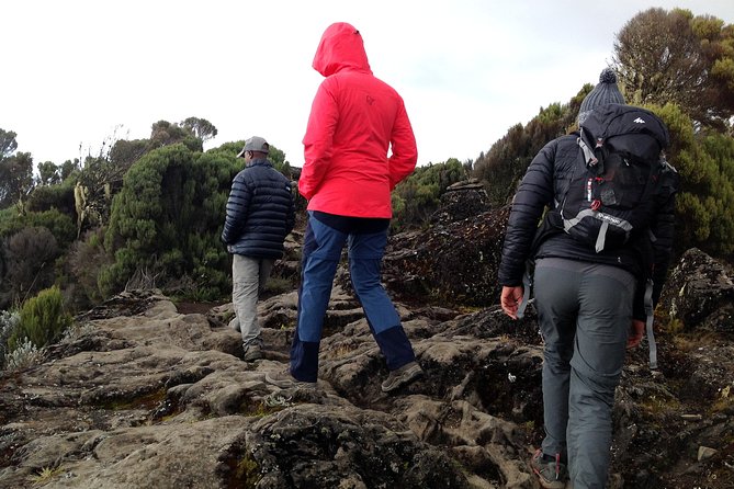 The best 6-Days Kilimanjaro hiking (Machame route)whiskey route - Why the Machame Route is worth the effort