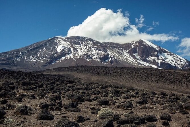The best 6-Days Kilimanjaro hiking (Machame route)whiskey route - Day 6: forest descent to Mweka Gate