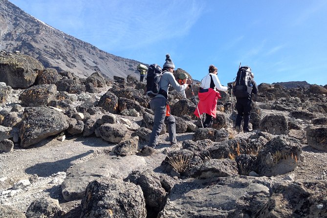 The best 6-Days Kilimanjaro hiking (Machame route)whiskey route - Day 1: forest and heather from Machame Gate