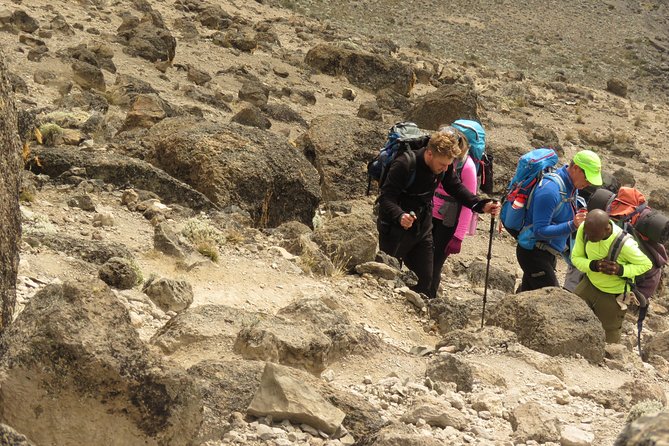 The Best & Unique Kilimanjaro Hiking tour 7 days Machame route - Day 3: Shira 2 to Lava Tower and Barranco