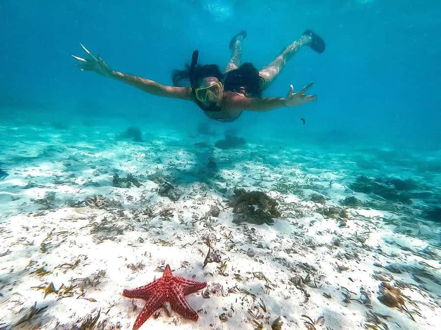 The rock restaurant and blue Lagoon - Why this half-day Zanzibar trip works