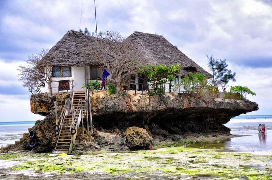 The Rock Restaurant, Jozani Forest, Horseback Riding - A full southern Zanzibar day in one booking