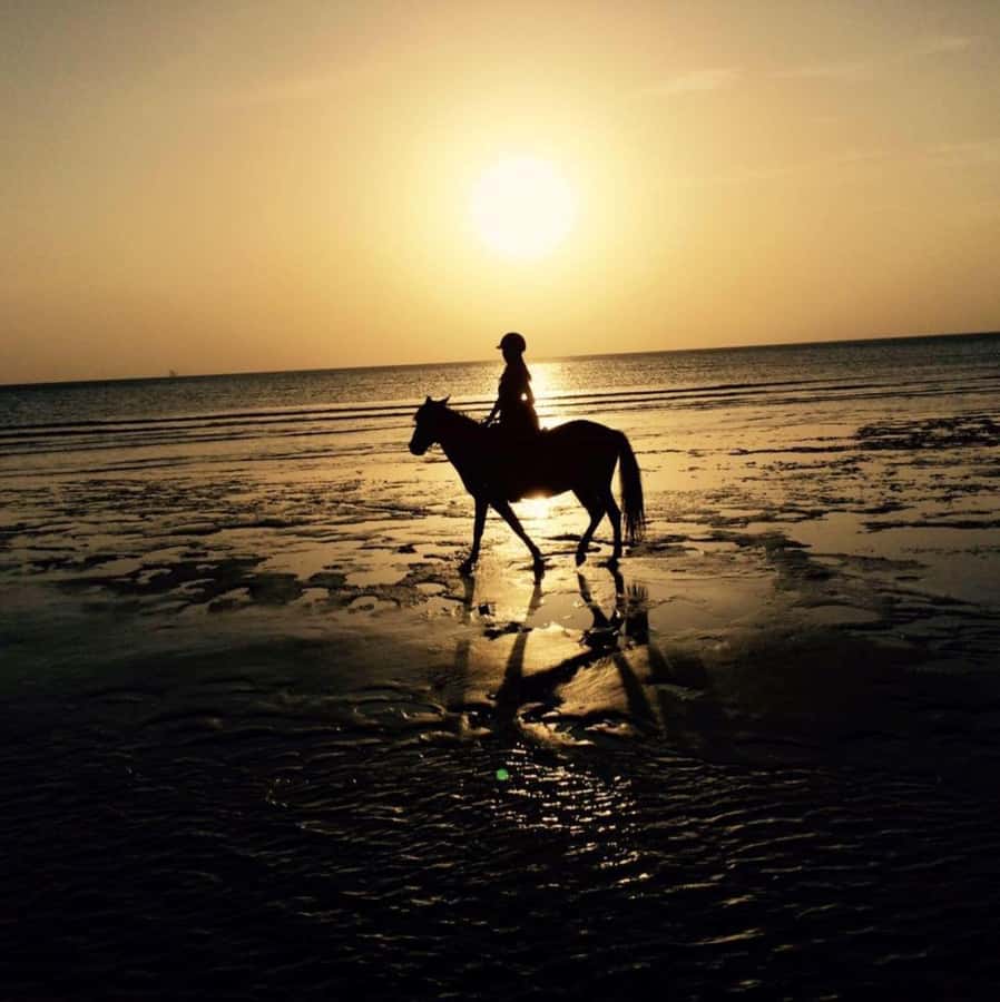 The Rock Restaurant, Jozani Forest, Horseback Riding - What private transport changes