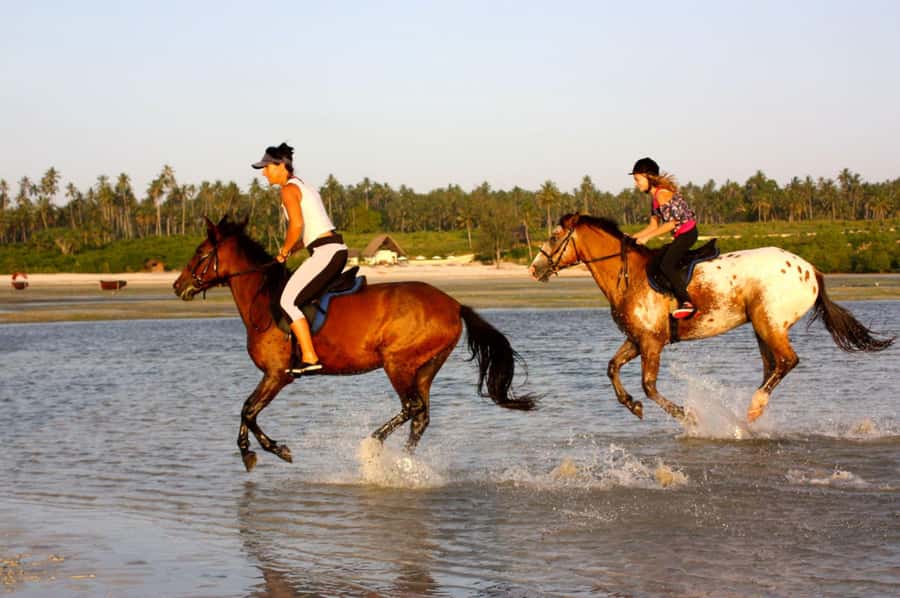 The Rock Restaurant, Jozani Forest, Horseback Riding Tour - Riding toward the beach and palm trees