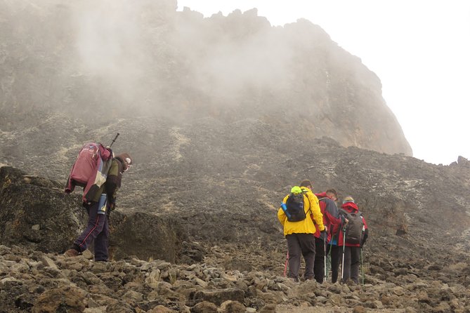 The Ultimate 8-day Lemosho route Climbing Kilimanjaro - Day 2: From Mti Mkubwa to Shira 1 and the moorland