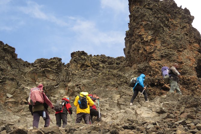 The Ultimate 8-day Lemosho route Climbing Kilimanjaro - Day 5: Barranco Wall and the short move to Karanga