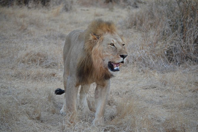 Three Days Ngorongoro crater, Lake Manyara and Taragire National Park (Joining) - Key points before you book