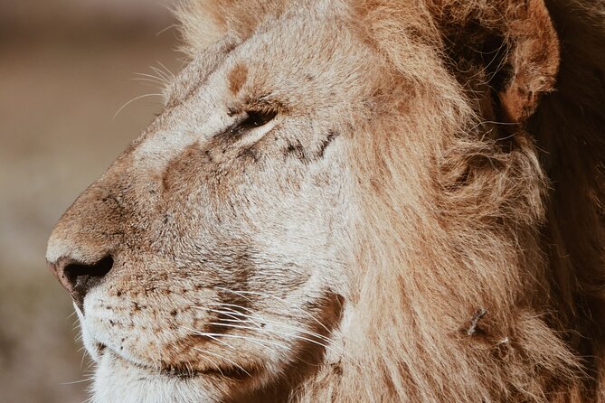 Three Days Ngorongoro crater, Lake Manyara and Taragire National Park (Joining) - Why this three-day route works