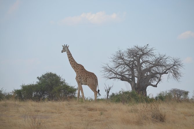 Three Days Ngorongoro crater, Lake Manyara and Taragire National Park (Joining) - Leaving Arusha for Lake Manyara at 7:00 am