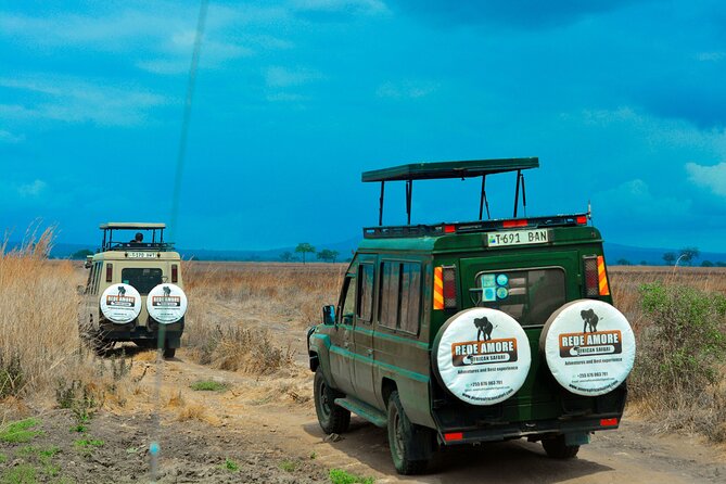 Top Best 5 Days Tanzania Luxury Safari to Serengeti - Why this five-day route works