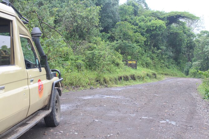 Tour at Arusha National Park - Ngurdoto Crater is the day’s big geological feature