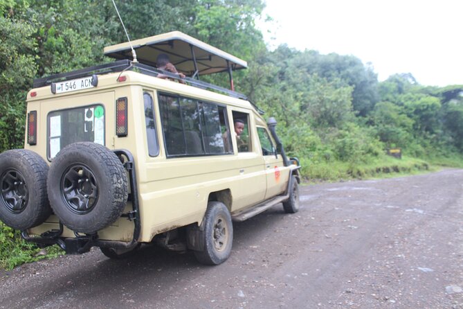 Tour at Arusha National Park - Picnic lunch keeps the day moving