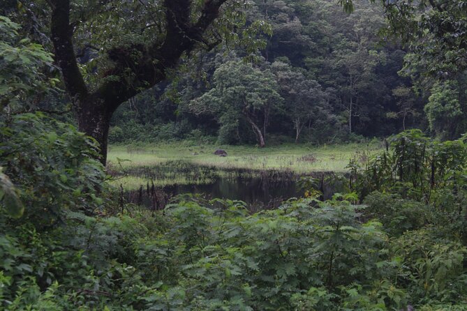 Tour at Arusha National Park - Is $599 a fair price?