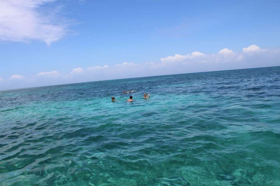 Tumbatu island snorkling tour : from Kendwa & Nungwi - Key points to know before booking