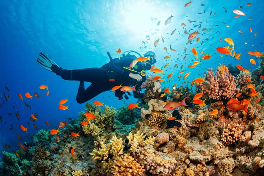 Tumbatu island snorkling tour : from Kendwa & Nungwi - Why Tumbatu makes a good snorkeling choice
