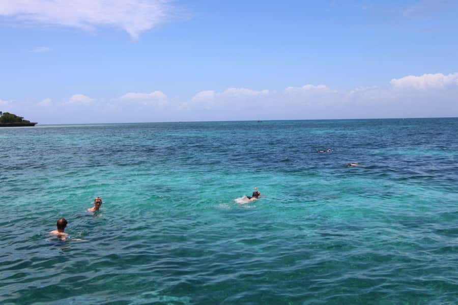 Tumbatu island snorkling tour : from Kendwa & Nungwi - Snorkeling around Tumbatu’s coral reef